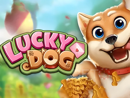 Lucky Dog Demonstração