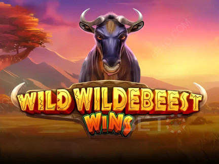 Wild Wildebeest Wins Demonstração