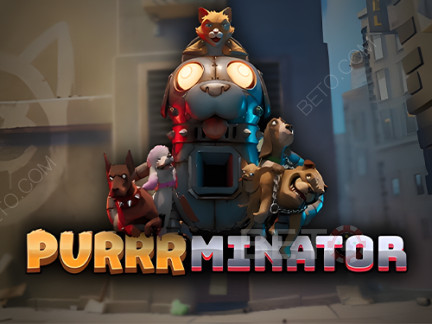 Purrrminator Demonstração