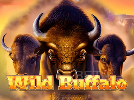 Wild Buffalo Demonstração
