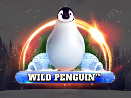 Wild Penguin Demonstração
