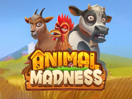 Animal Madness Demonstração