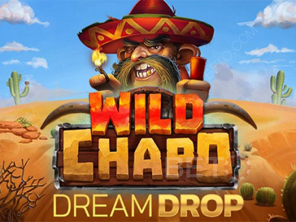 Wild Chapo Dream Drop Demonstração